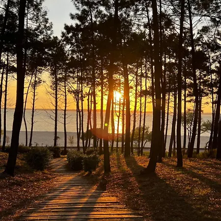 Romaline - Pereire - Piscine Chauffee